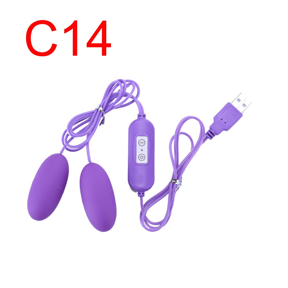 Dual Egg Vibrator USB